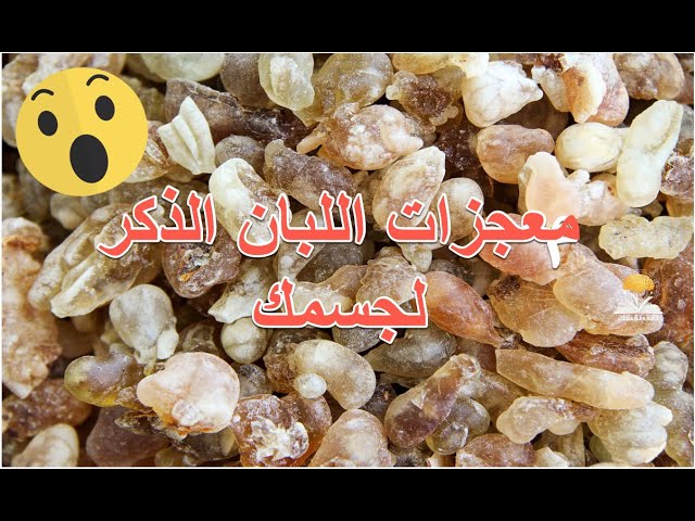 لبان عماني حوجري VIP