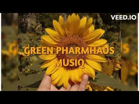 Seeb x Skip Marley - Cruel World (Payge Remix) 2023