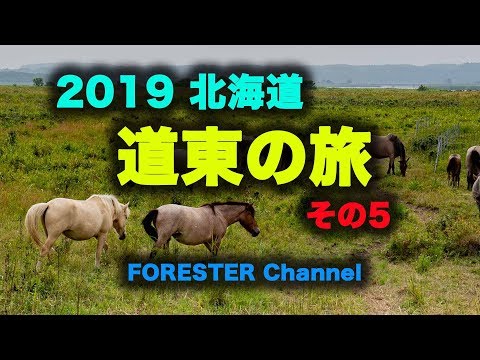 Hokkaido 2019 Ferry Camp Viaje al este de Hokkaido ~ Parte 5 (Jardín de flores primitivo de Koshimizu/dirección Memanbetsu) <4K>