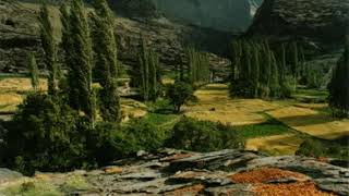 Rag Ahir Bhairav | Hariprasad Chaurasia + Zakir Hussain