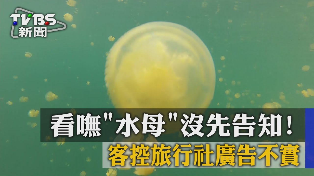 看嘸「水母」沒先告知！　客控旅行社廣告不實