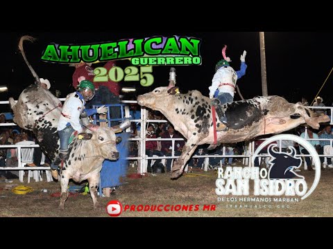 ✨This is how Rancho San Isidro presented itself with three specimens in Ahuelican Größe. October ...