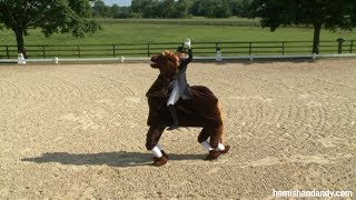 Being A Dancing Horse  2012 