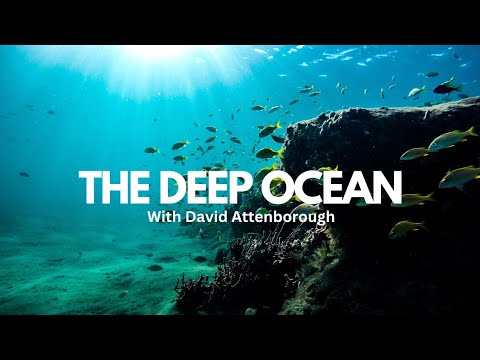 "Deep Ocean: Exploring the Wonders of the Underwater World with David Attenborough"
