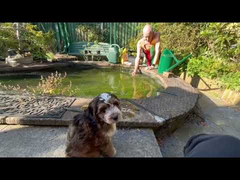 Baz's hobbies 29J - New Hobby