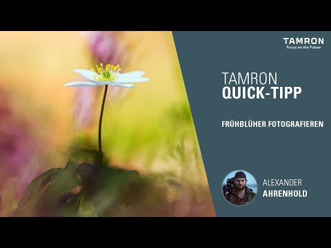 Frühlingshafte Makrofotografie – TAMRON Quick Tipp