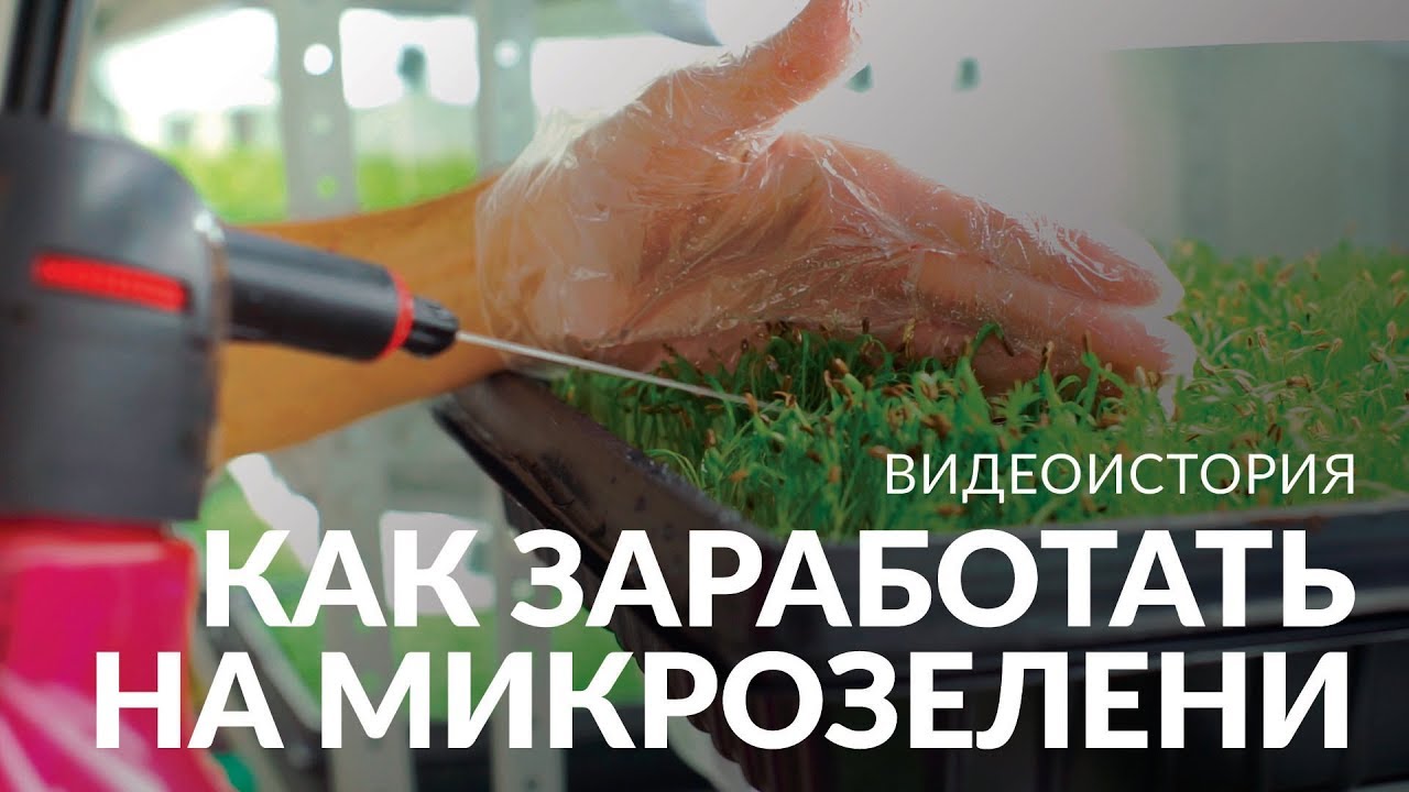 Бизнес на травке | Создатель фермы микрозелени о своем необычном бизнесе и помощниках c YouDo