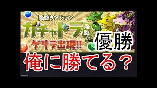 パズドラ超入門0012d ガチャドラ降臨！急遽ディオスを育成、無料ガチャひきたい！