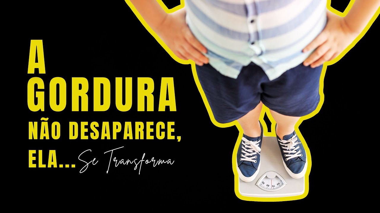 Where does the fat that the body burns go?