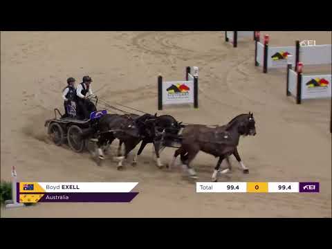 FEI Driving World Cup™ - DRIVING GERMAN MASTER