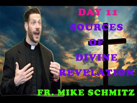 Day 11 Sources of Divine Revelation — The Catechism in a Year (with Fr. Mike Schmitz)