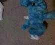 Tickle Me Cookie Monster