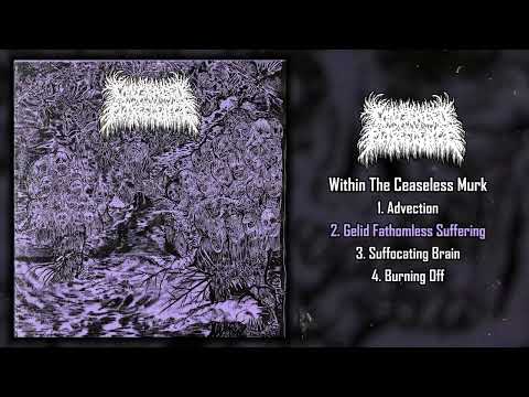 Congealed Putrescence - Within The Ceaseless Murk MC FULL EP (2022 - Death Metal)