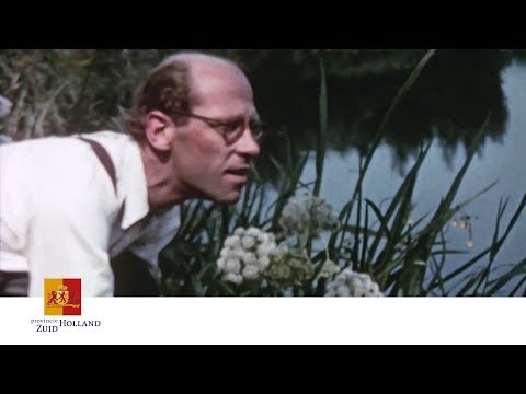 'Vrij Buiten' Recreatie Realiseren in Brielse Maas in 1954 | Provincie Zuid-Holland