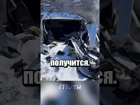 Камчатские подснежники