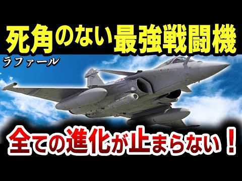 フランス空軍 (レビュー)について詳しく解説