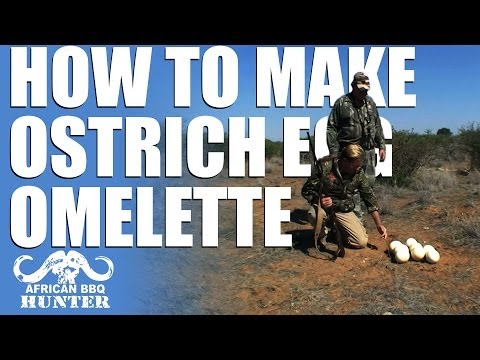 African BBQ Hunter – how to make an ostrich egg omelette African BBQ Hunter – how to make an ostrich egg omelette
