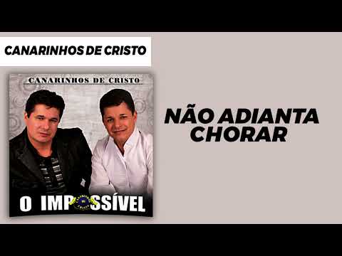 Canarinhos de Cristo - Não Adianta Chorar | Álbum O Impossível