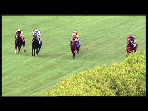 Galoppo 01/08/2020 - 1ª corsa