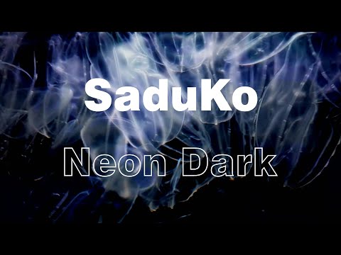 SaduKo - Neon Dark (Lyric Video)