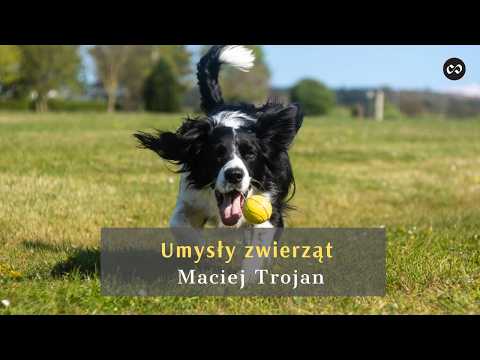 Umysły innych zwierząt, Maciej Trojan