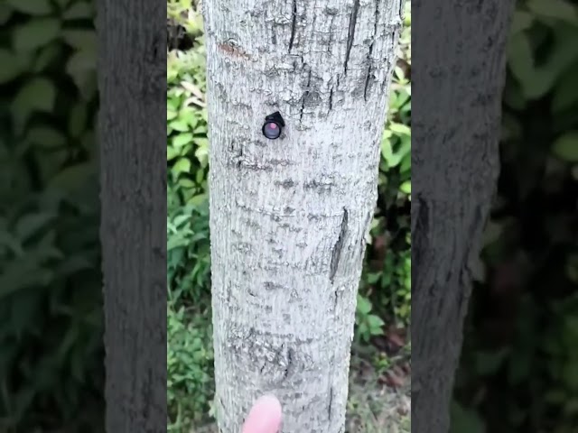كاميرا مراقبة منزلية صغيرة - Small home security camera