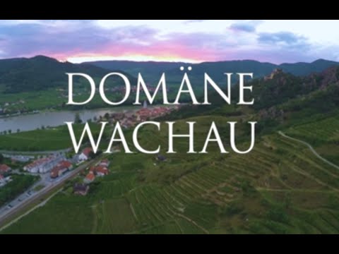 Domäne Wachau. Dürnstein, Wachau, AUSTRIA  VINEYARDS AND DRONE