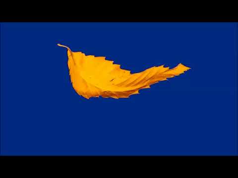 Old Skool House Classics, Dance, Rave mix late 80s/early 90s