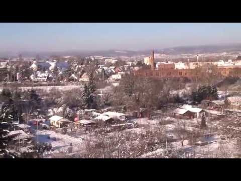 Vlexx RB 29251 von Alzey nach Mainz bei Schnee in Mainz-Waggonfabrik