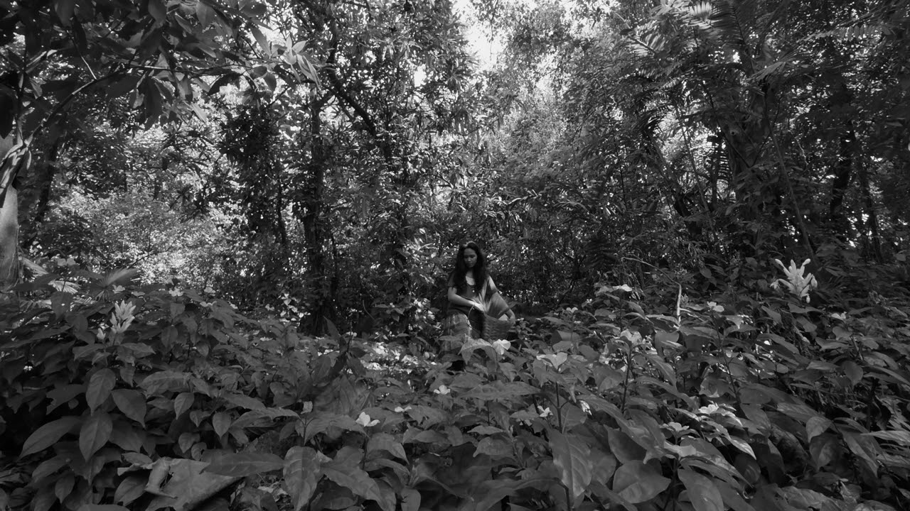 ANG PAGHILAK SA KALASANGAN (WHERE GREEN TURNS TO GRIEF)