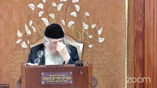 הרה"ג הרב וועכטר שליט"א כ"ב תמוז תשפ"ד - מאמר ליקוטי תורה פרשת ואתחנן ד"ה שמע ישראל חלק ב' (הרב אברהם מנחם מענדל וכטר) - התמונה מוצגת ישירות מתוך אתר האינטרנט יוטיוב. זכויות היוצרים בתמונה שייכות ליוצרה. קישור קרדיט למקור התוכן נמצא בתוך דף הסרטון