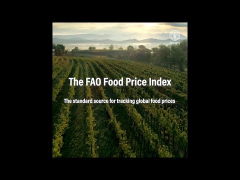 FAO Food Price Index Video Explainer