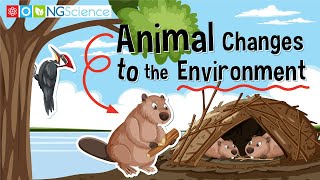 Animal Changes to the Environment