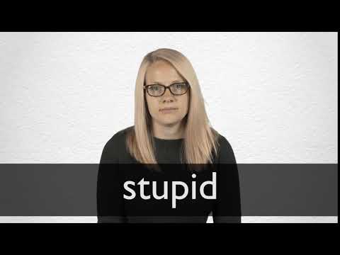Stupid Sinónimos | Collins Sinónimos de inglés