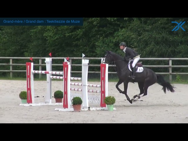 23. Precious Secret DK