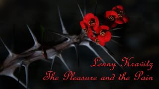 Lenny Kravitz - The Pleasure and the Pain