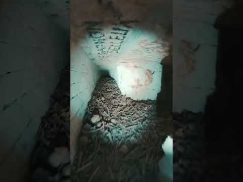 Exploring the catacombs of Paris ☠️ (Part II)