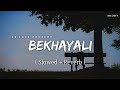 Bekhayali - Lofi (Slowed + Reverb) | Sachet Tandon | SR Lofi
