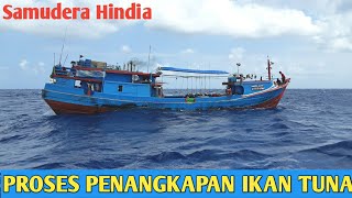 Download lagu Proses Penangkapan Longline Tuna Di Samudera Hindia mp3