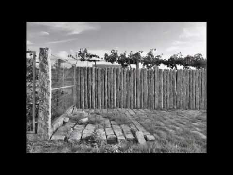 FINCA AMENA, Carlos Seoane