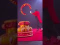Me At The Circus
