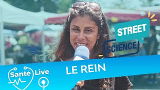 Streetscience enquête sur le rein