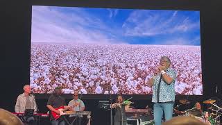 High Cotton - Alabama Band LIVE 2021