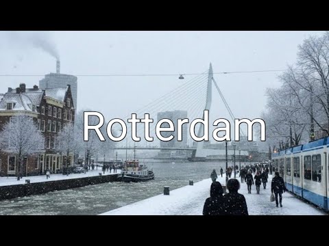 Winter Walking Tour of Rotterdam, Netherlands - 2026 🌨❄️