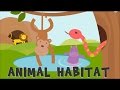 Animal Habitats | Animal Homes | Animals video for kids |