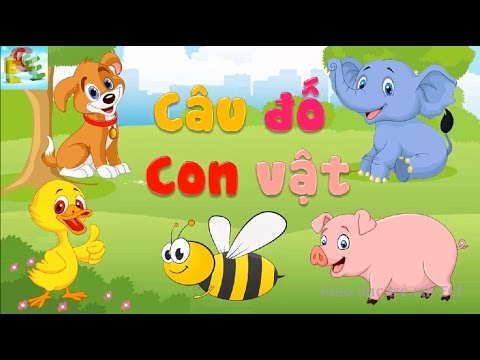 Câu đố vui cho bé về con vật có đáp án | đố bé con gì dạy bé học con vật | Giáo dục trẻ em ECE