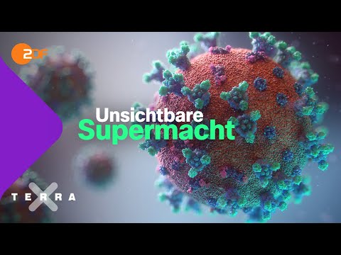 Warum Viren so erfolgreich sind | Terra X plus