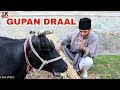 Kalkharab Gupan Draal Kalkharabs