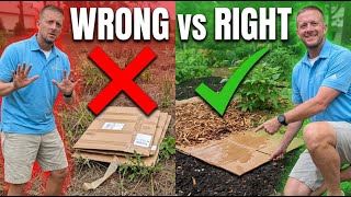 The Cardboard Gardening Mistake Most People Make