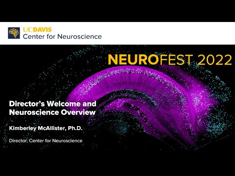 NeuroFest 2022